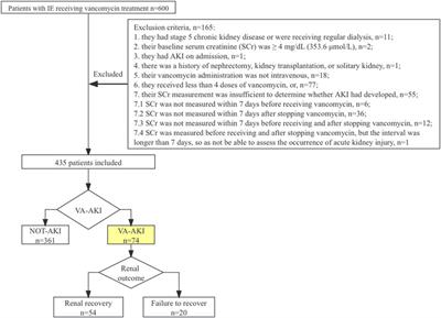 Vancomycin associated acute kidney injury in patients with infectious endocarditis: a large retrospective cohort study